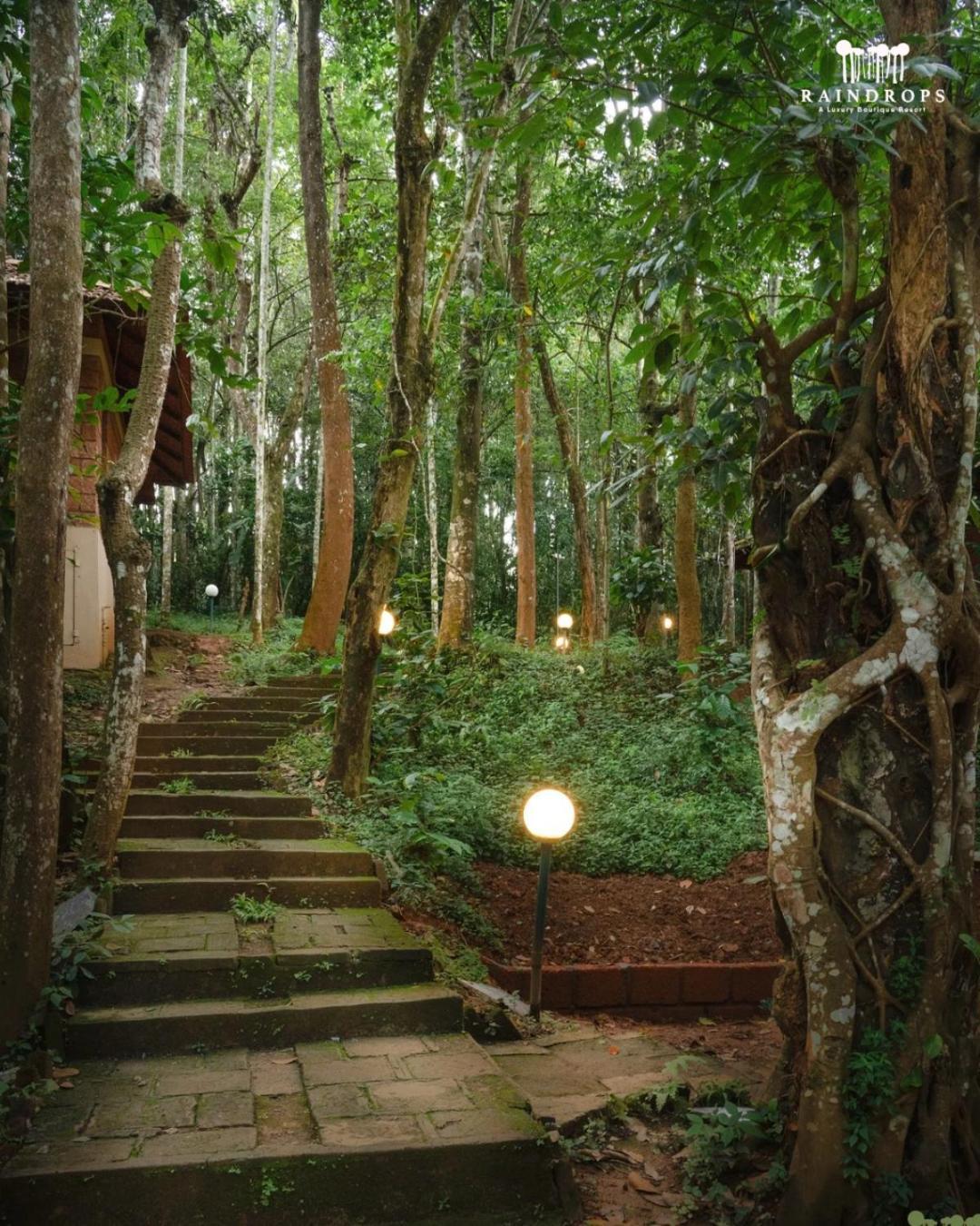 Raindrops Resorts Wayanad Sultan Bathery Exterior foto