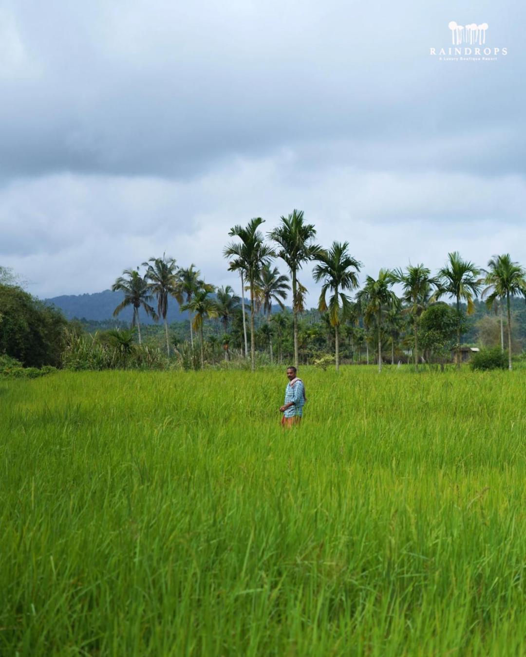 Raindrops Resorts Wayanad Sultan Bathery Exterior foto